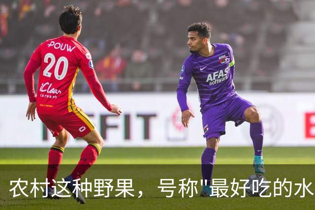 农村这种野果，号称"最好吃的水果"！插土就活，院子种几颗吃不完