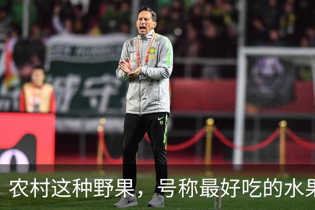 农村这种野果，号称"最好吃的水果"！插土就活，院子种几颗吃不完